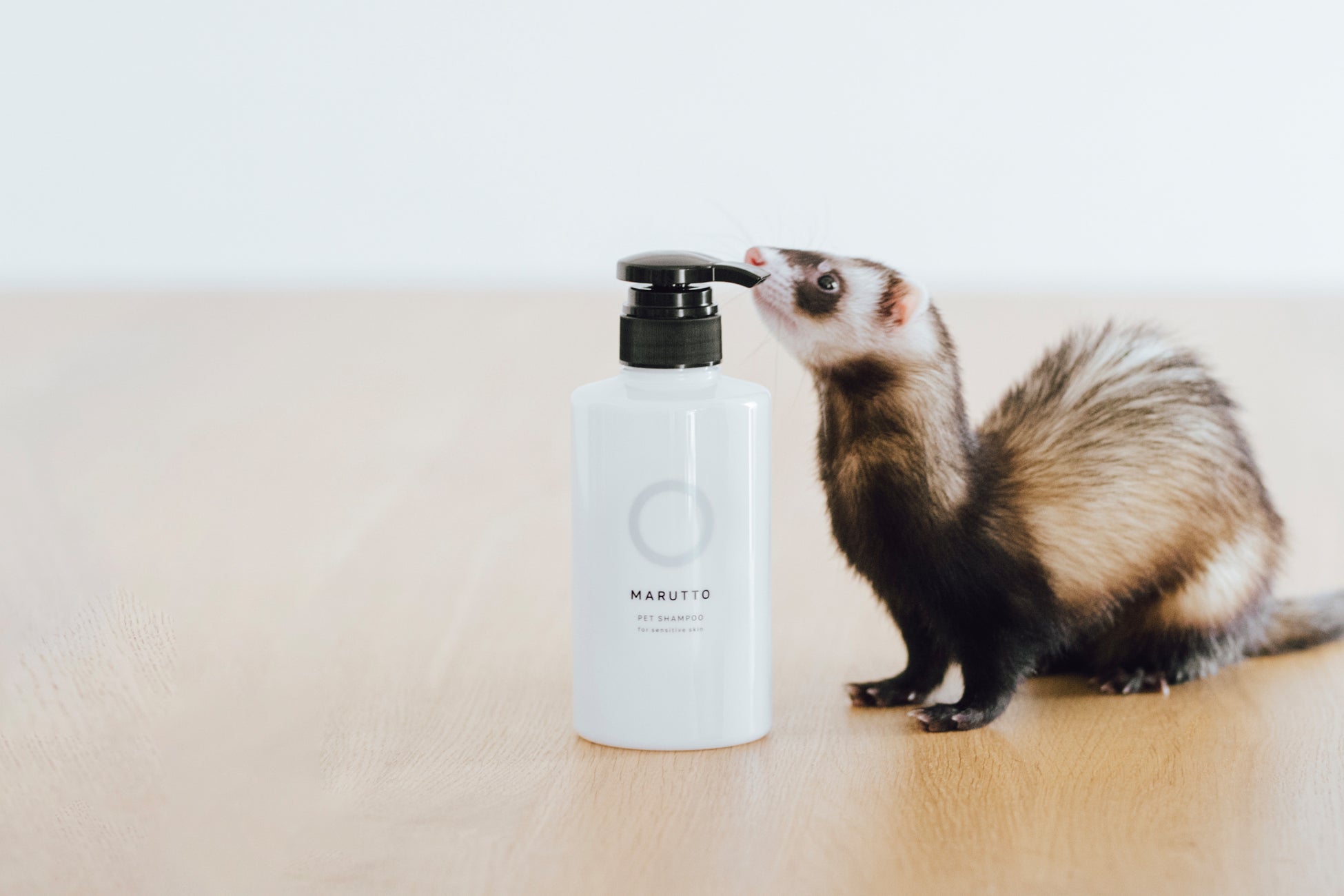 いろんなペットを優しく洗う