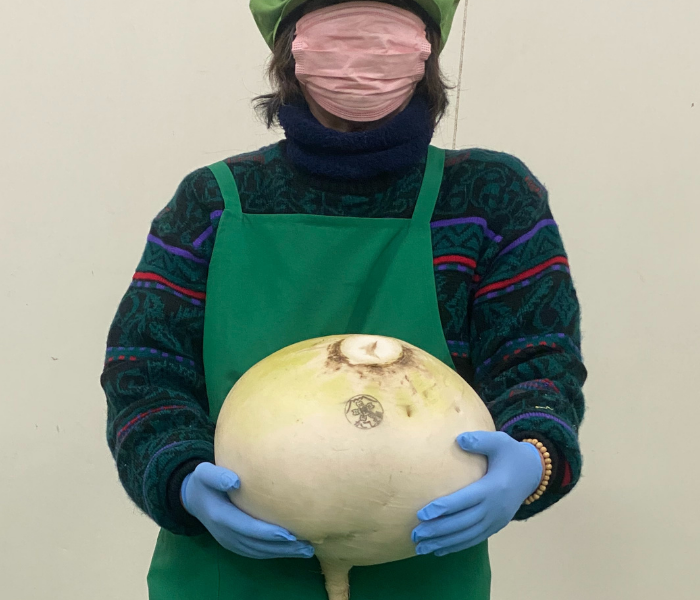 真作保証　島根清　「新緑の武蔵野」油彩　一点もの　20号大作　元光陽会評議員 真作保証 島根清 「新緑の武蔵野」油彩 一点もの 20号大作 元光陽