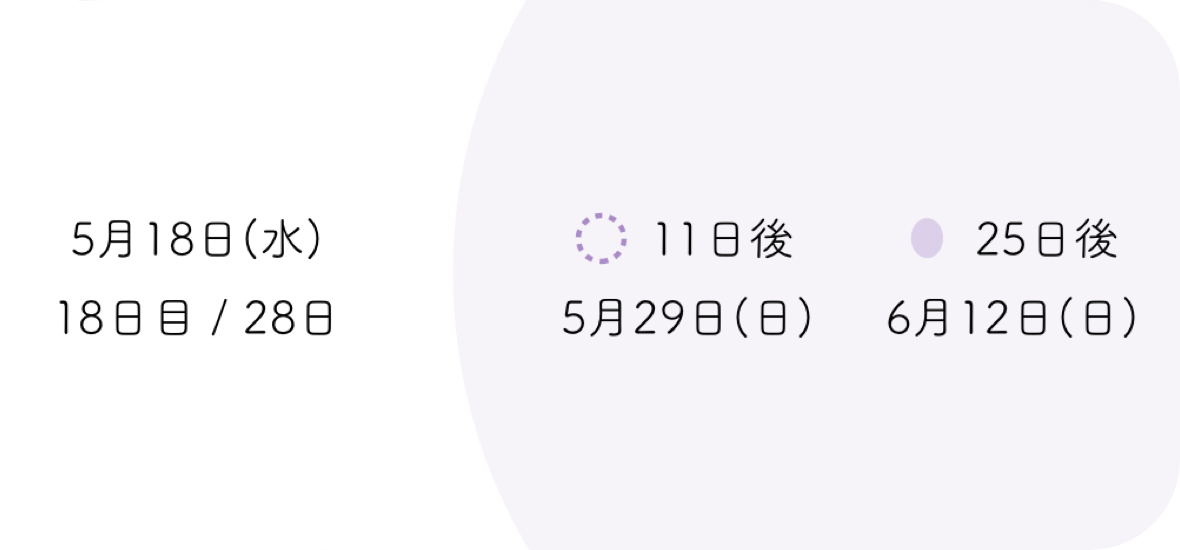 ウィジェット中サイズ