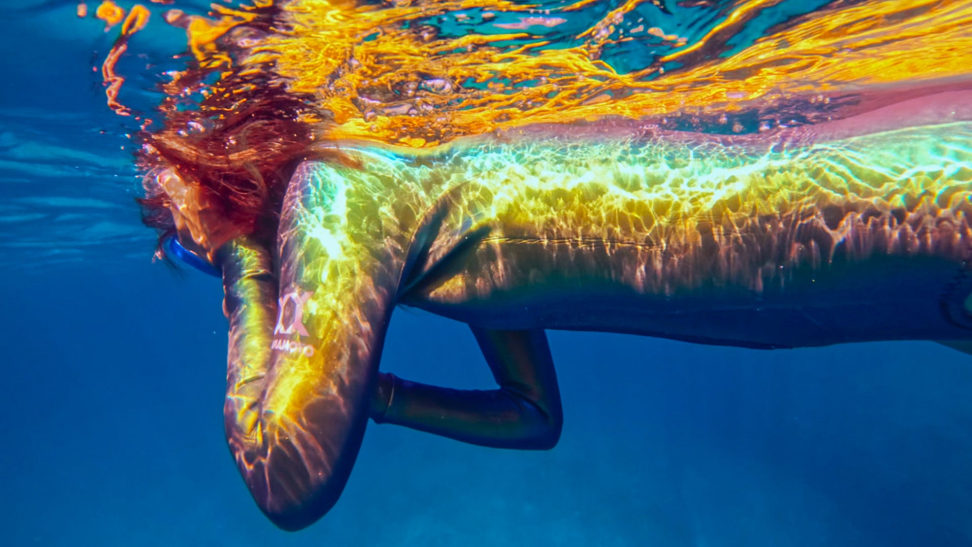 ウェットスーツ使用時の水中での写真（Coral Reef）