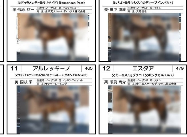 報知新聞社がコンビニで販売中!馬トクPOGプリントの魅力と価格 報知新聞社がコンビニで販売中!馬トクPOGプリントの魅力と価格