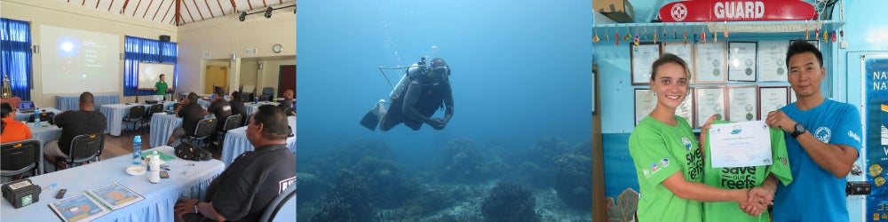 今までにリーフワールド財団がアセサートレーニングを行った際の様子