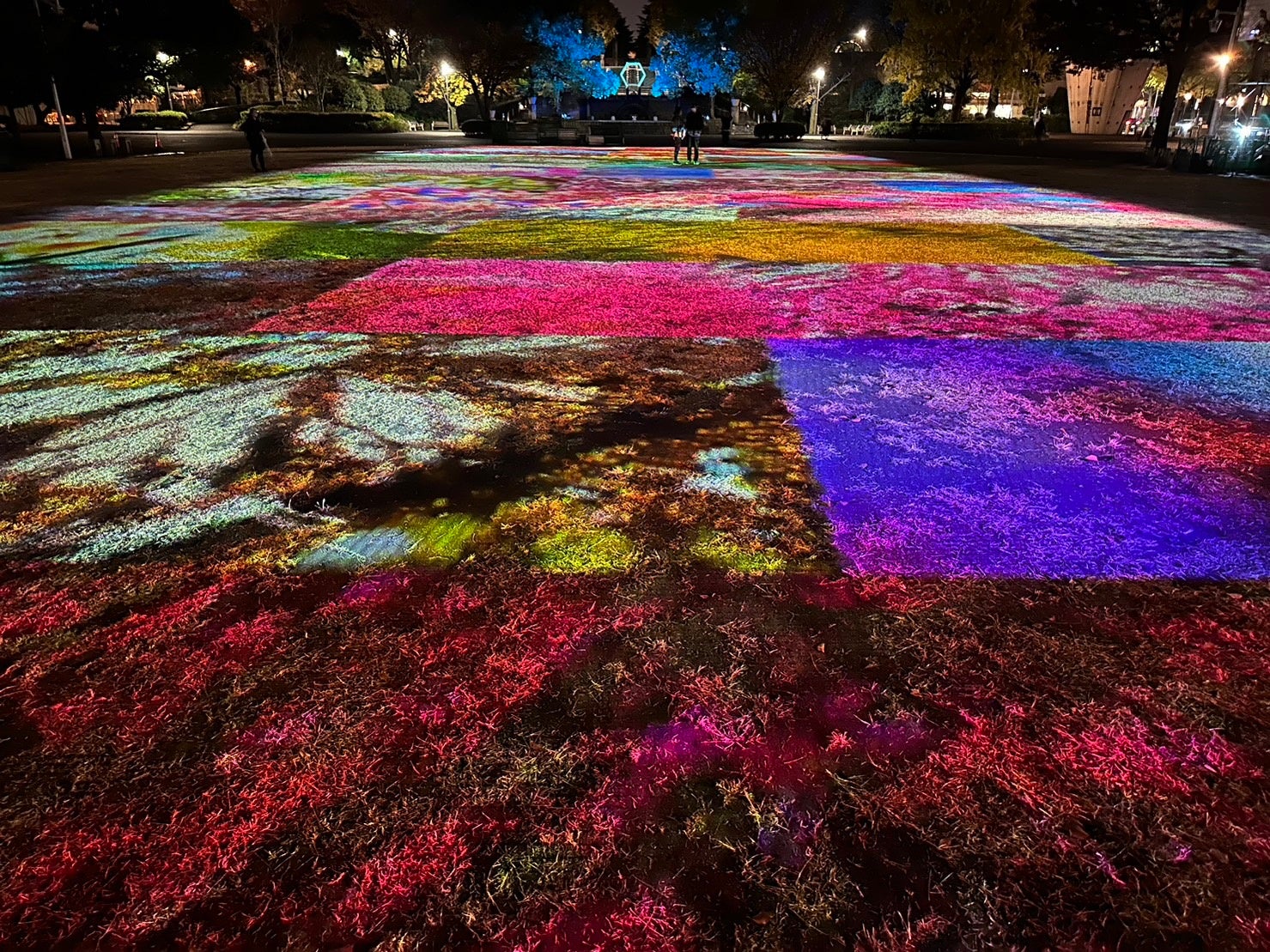 ©mika ninagawa, Courtesy of Tomio Koyama Gallery