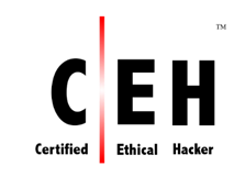 GSXが提供するEC-Council「認定ホワイトハッカー(CEH)」をレオン