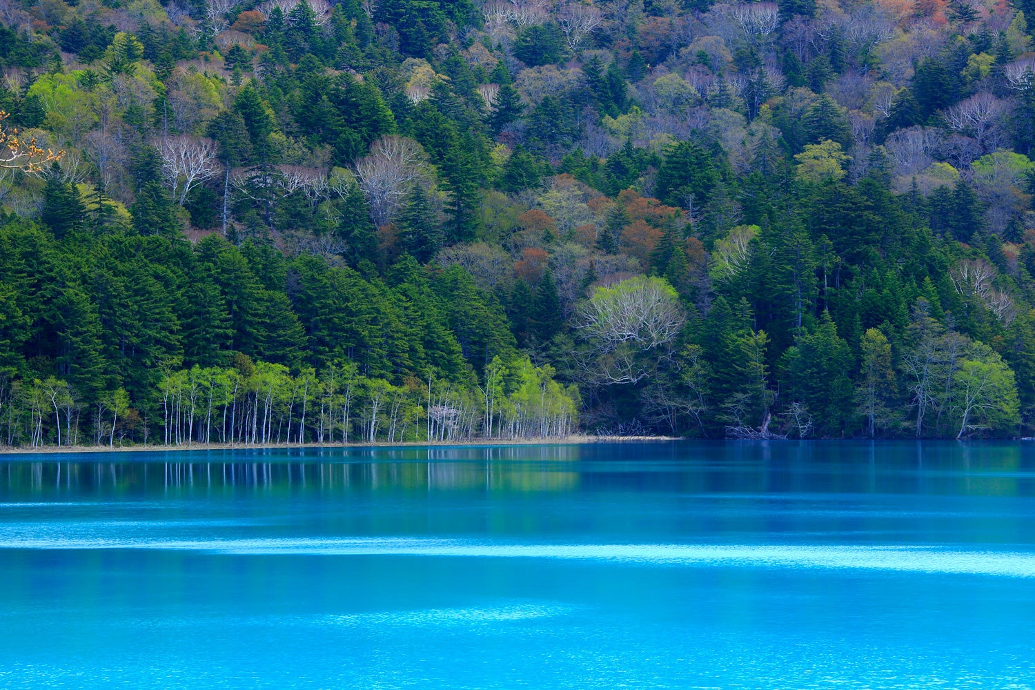 季節や天候などで表情を変えるオンネトー