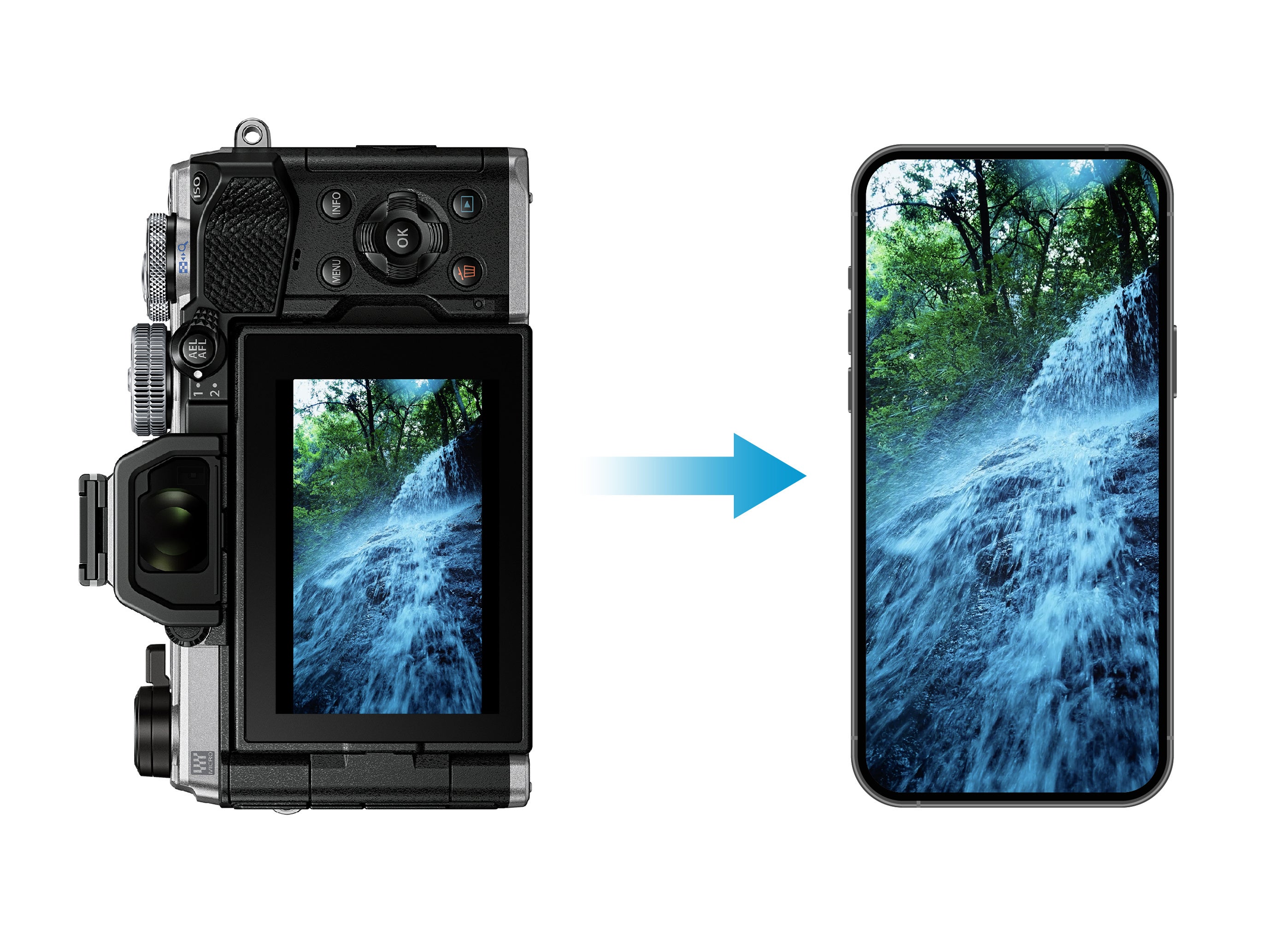 縦位置動画イメージ