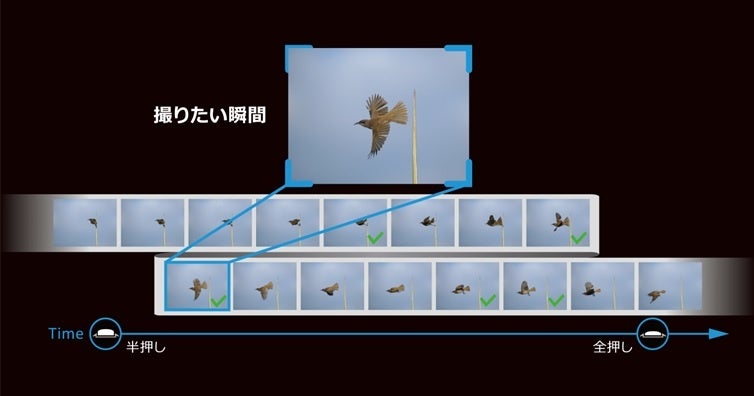 OLYMPUS OM-D 動作確認済 Olympus OM-D E-M5 Preview - GakuranmanGakuranman