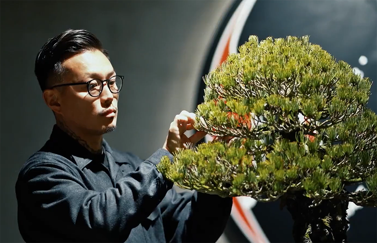 名人 誠勲堂 造 金蘭彩色 人物図 四方型 小振 植木鉢 盆栽鉢 蘭鉢 名人 誠勲堂 造 金蘭彩色 人物図 四方型 小振 植木鉢 盆栽鉢 蘭鉢