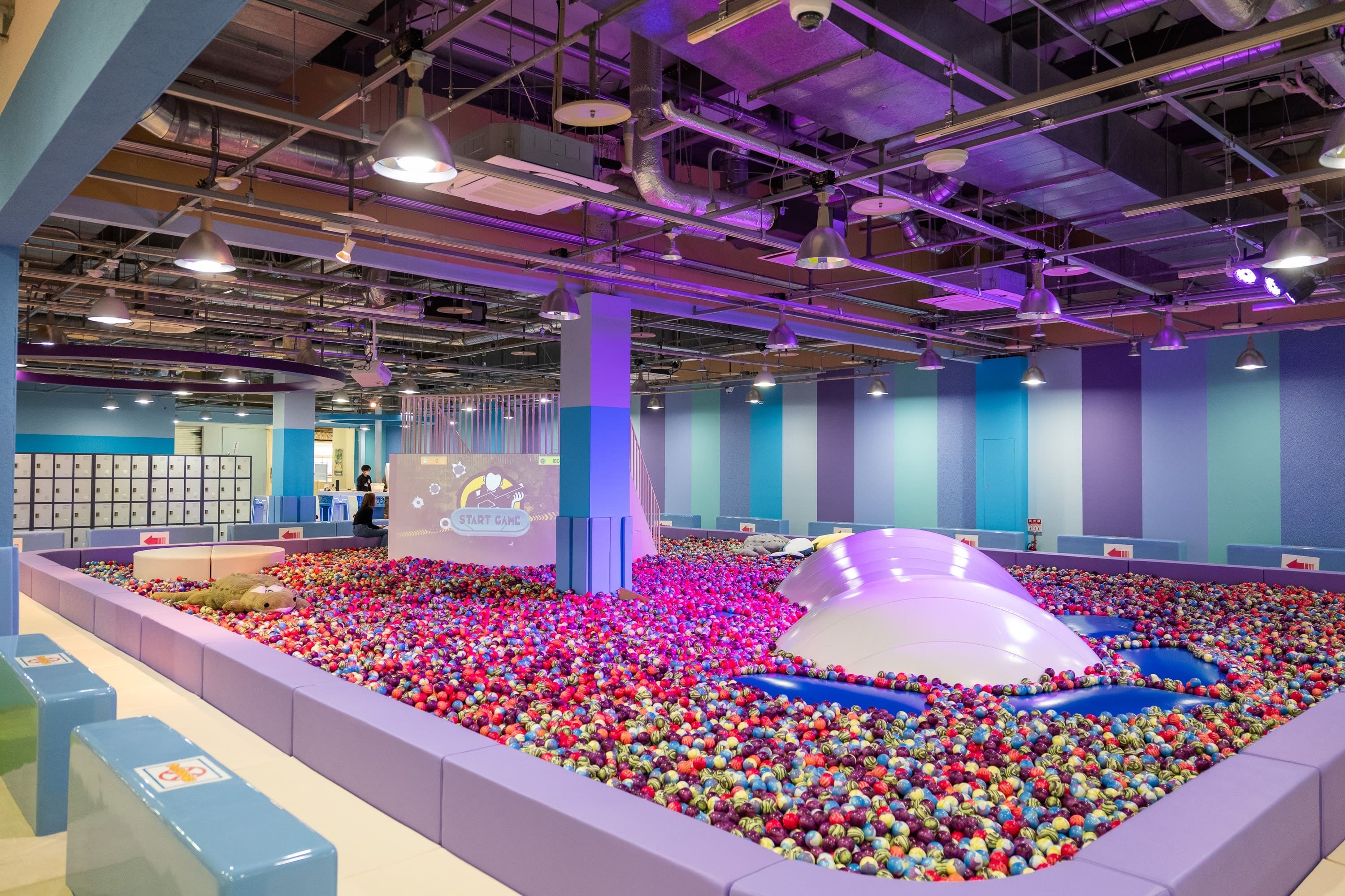 レインボーコスモス