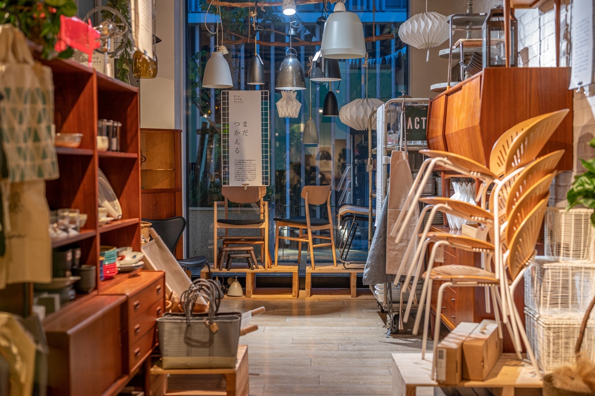 ＊画像は昨年（２０２２年）開催の模様