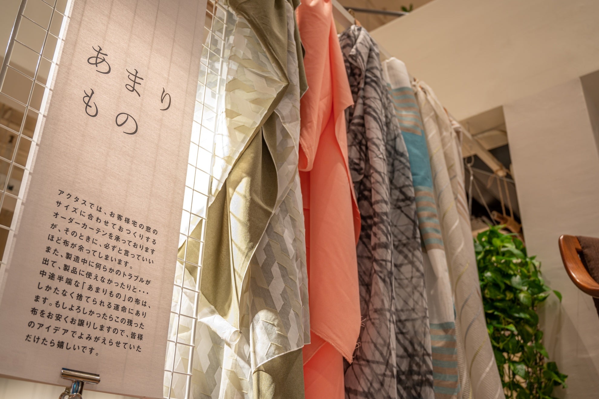 ＊画像は昨年（２０２２年）開催の模様