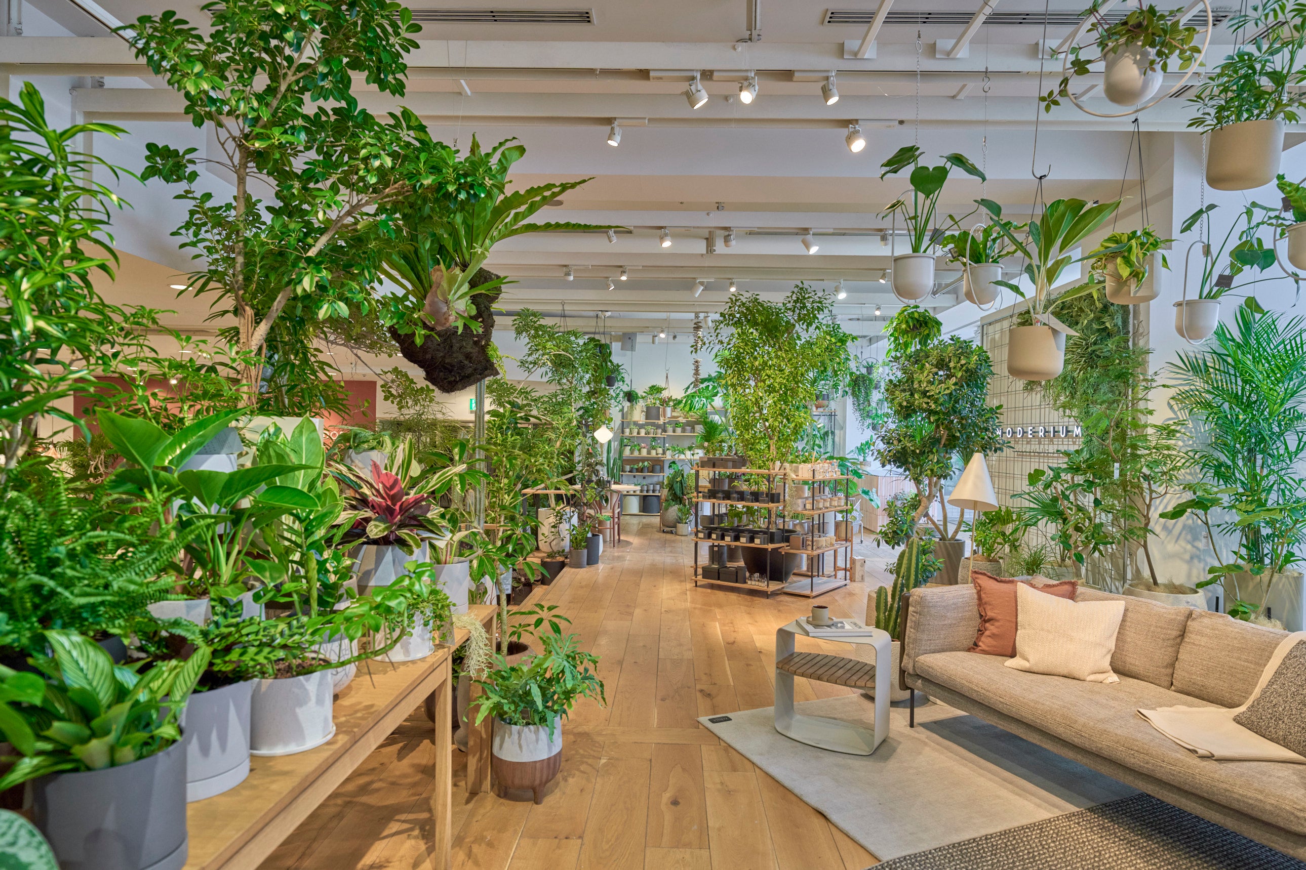 植物との出会いと発見を提供“ グリーンが主役のインテリアショップが