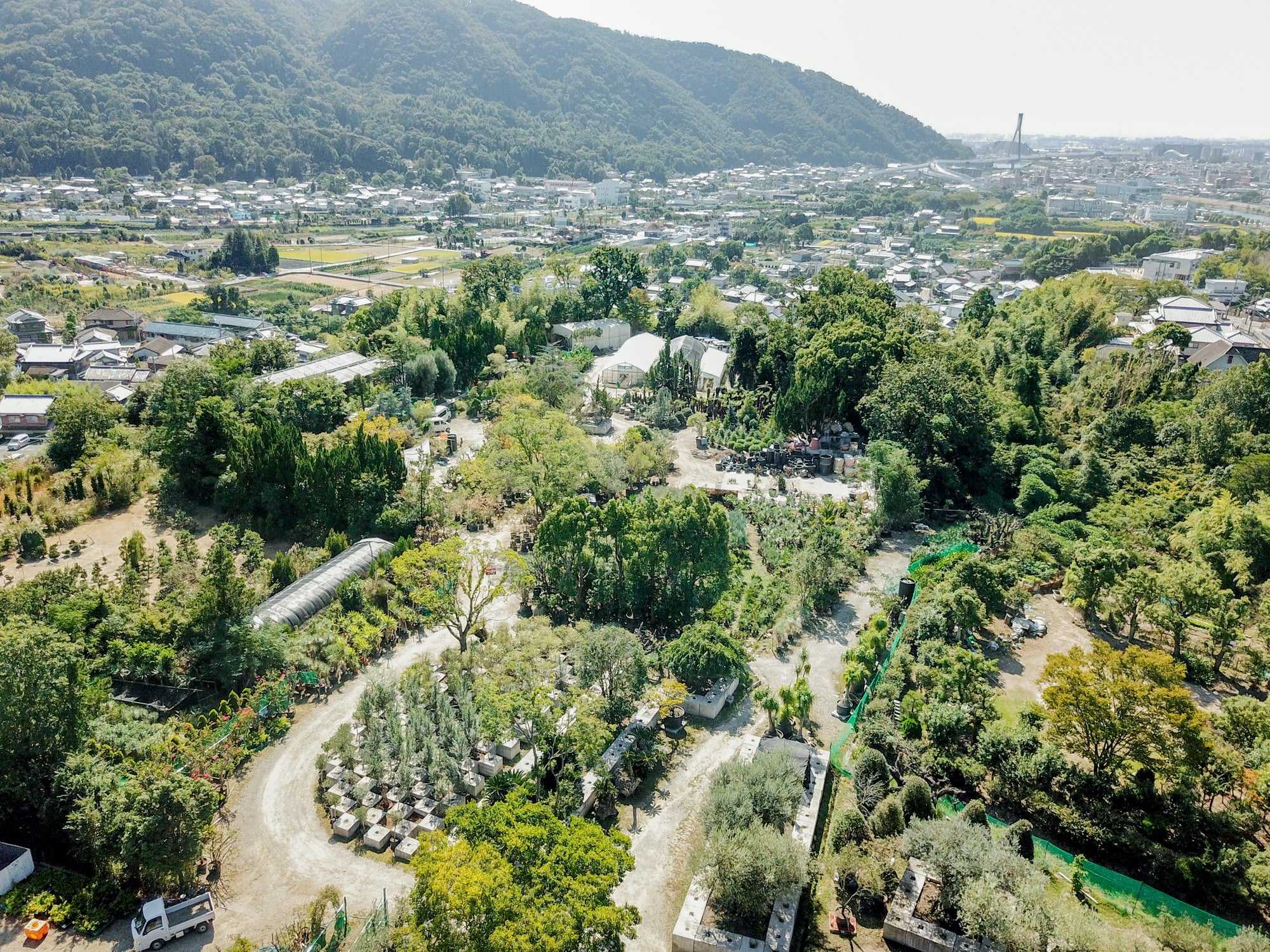 そら植物園_農園