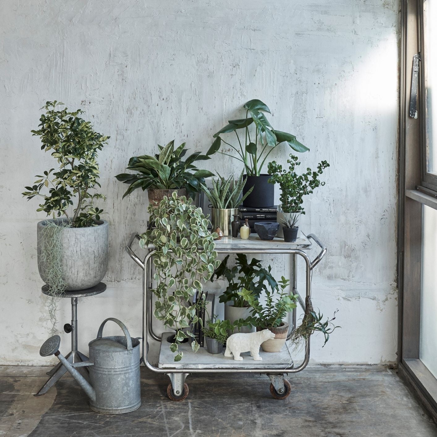 NODERIUM ブランドイメージ