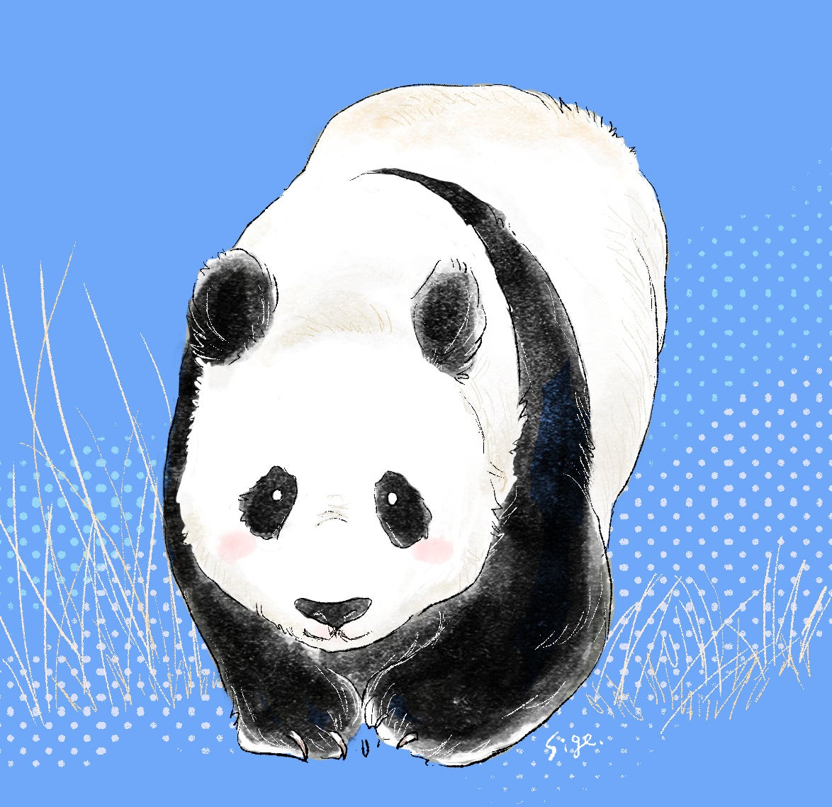 パンダイラスト・講師作