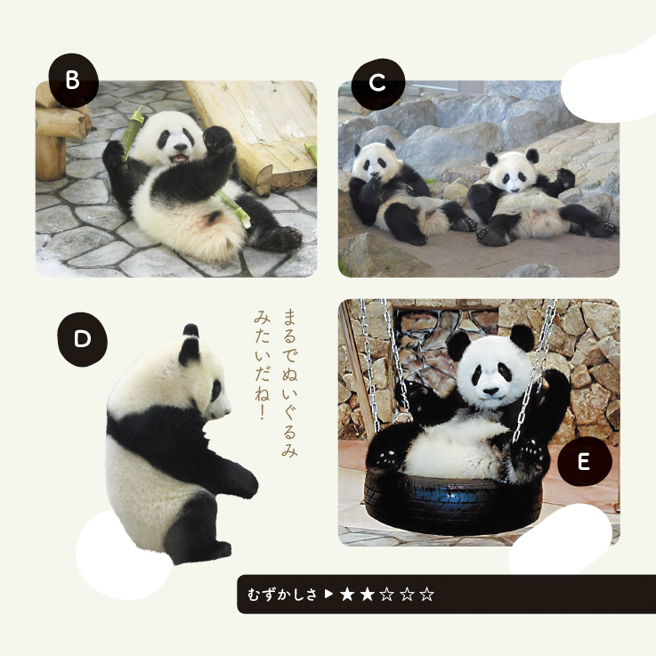 NHKカルチャー】3月25日（土）16:00～パンダ沼へようこそ！「水曜日の