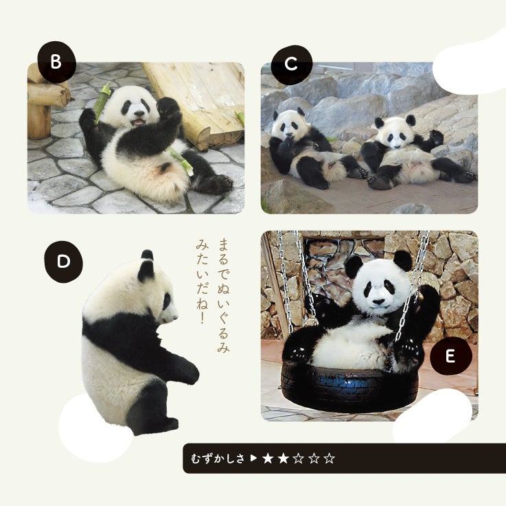 講師著『このパンダ、だぁ~れだ?』より(講談社ビーシー/講談社刊)