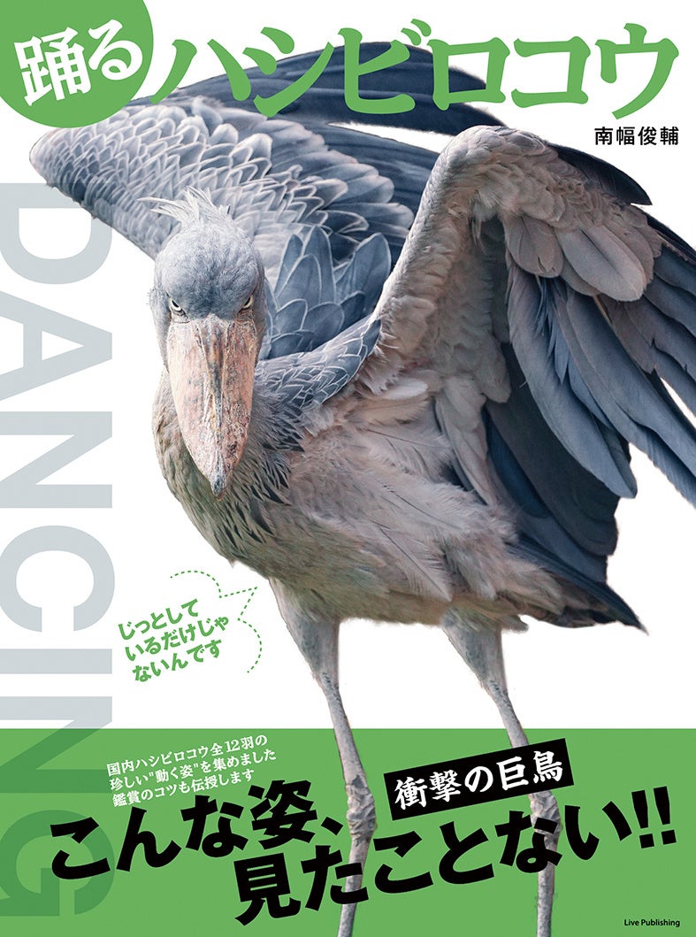 踊るハシビロコウ（ライブ・パブリッシング刊）