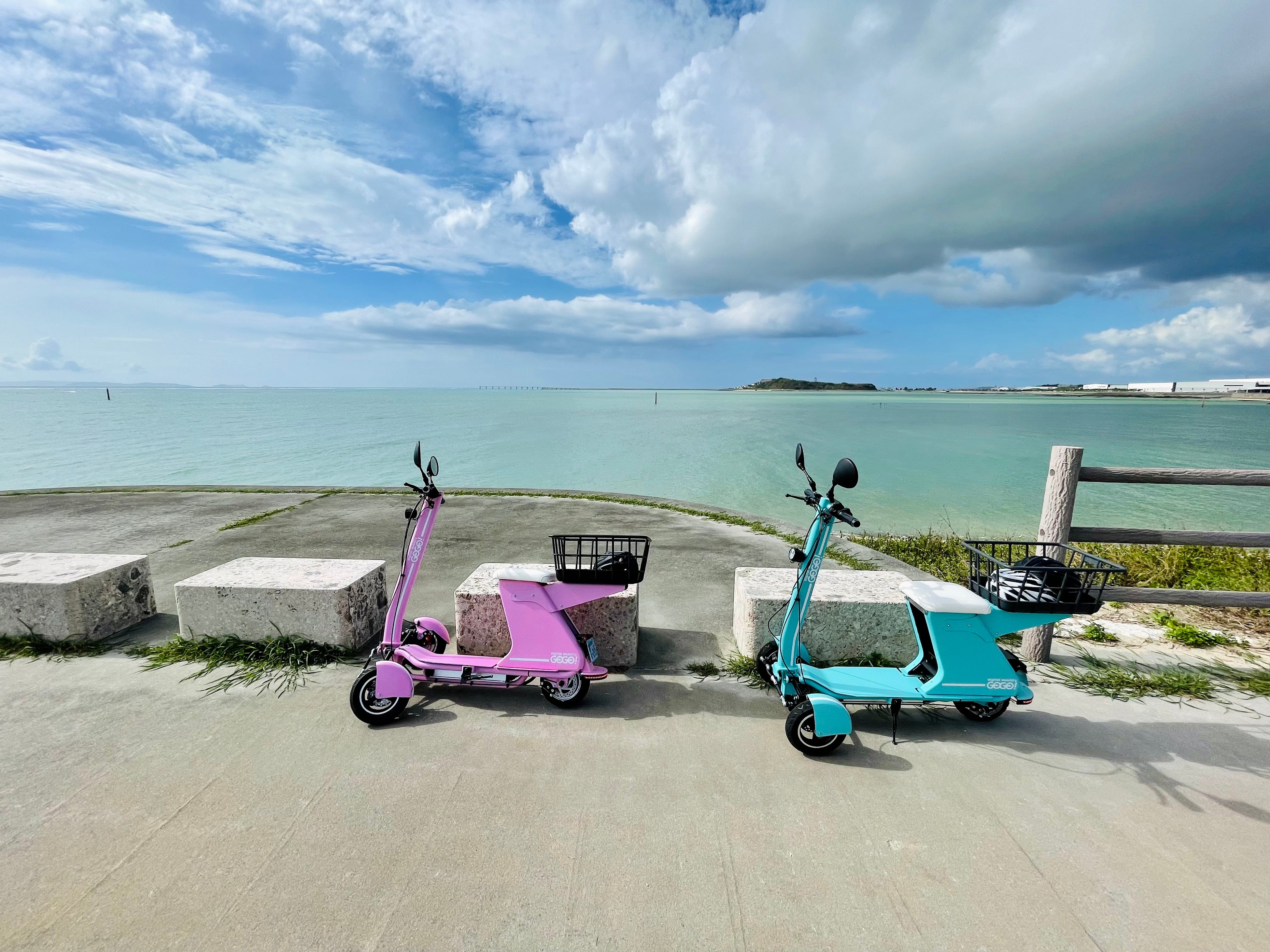 沖縄三線バチ、マッコウ&マンモスのコンビモデル 沖縄三線バチ、マッコウ&マンモスのコンビモデル 沖縄三線バチ