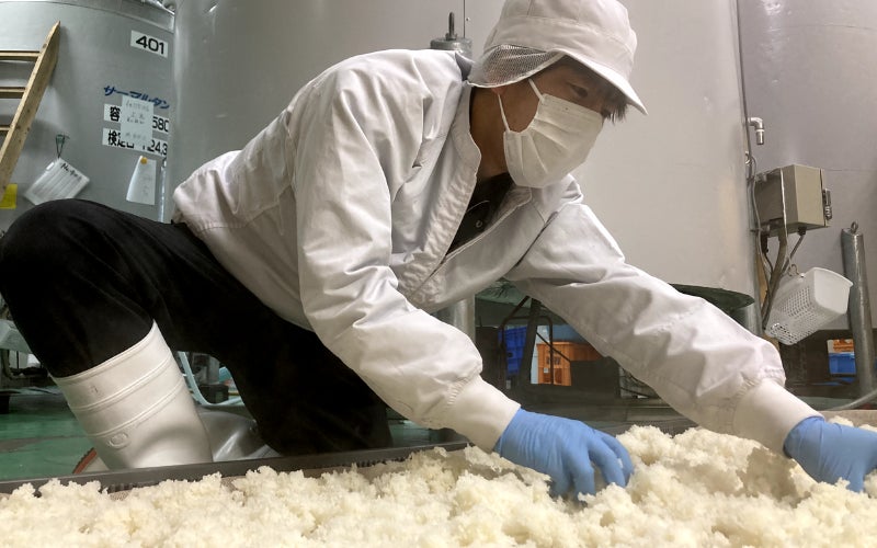 若手蔵人の挑戦を応援・知識や技術の向上を目指す新制度始動! 楯野川 若手チャレンジボトル販売決定 グルメプレス