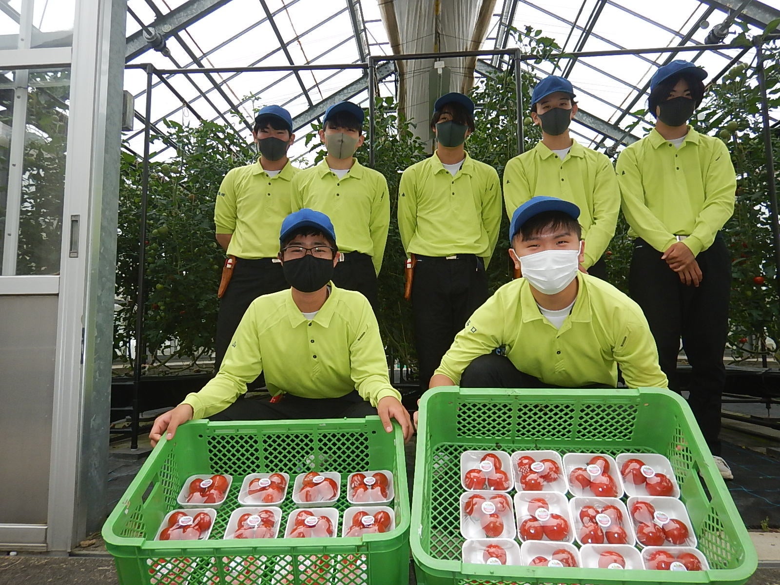 京都府立丹後緑風高等学校の生徒の皆さまと無農薬トマト