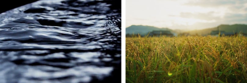 原料のクロモジの生息地と同じ白山麓を源流地とする福光屋の仕込み水「百年水」と契約栽培する有機米
