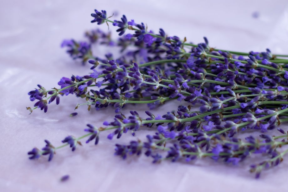 ※香料（ラベンダー油）