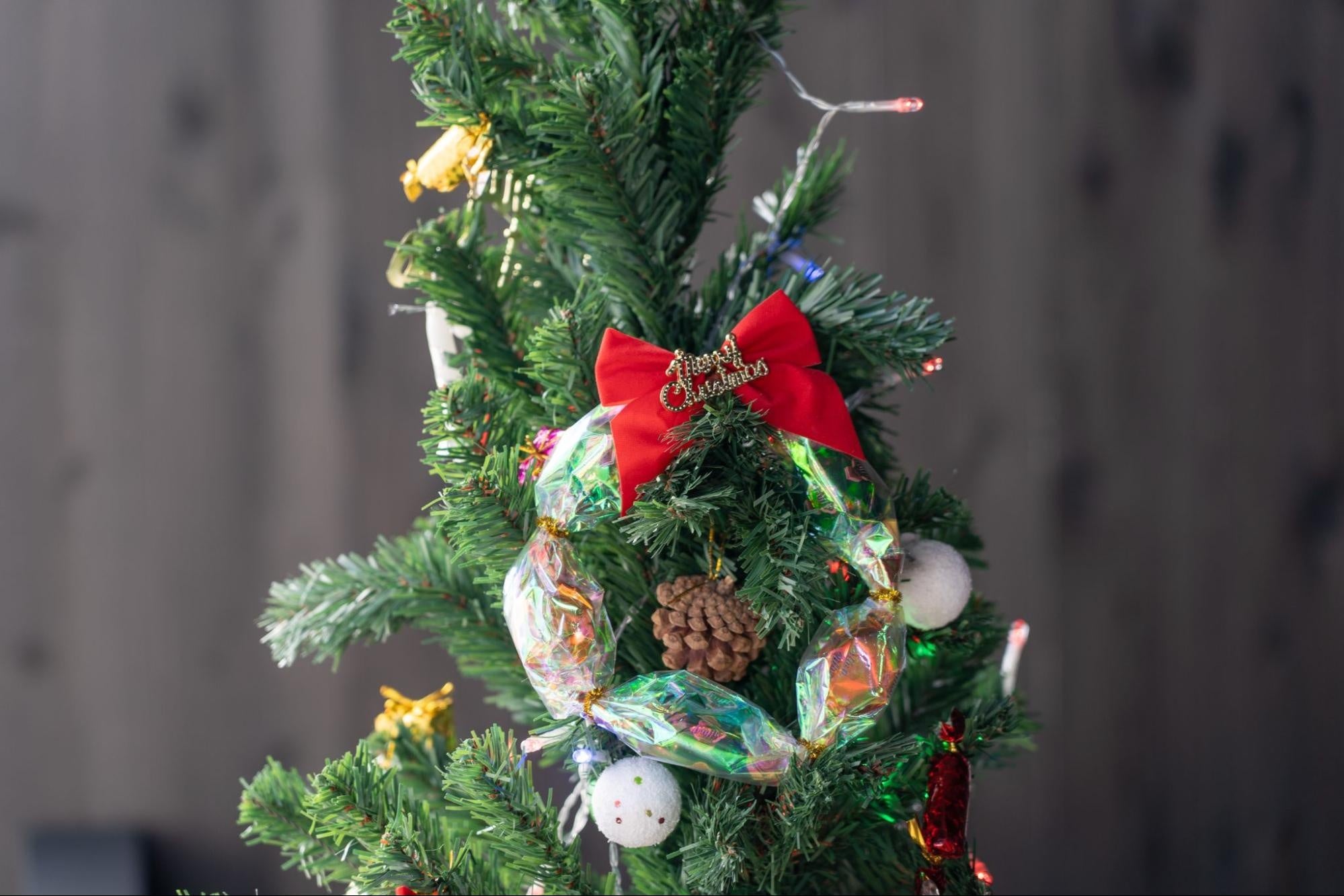 都会から離れた自然の中で、特別なクリスマスを～グランピング施設