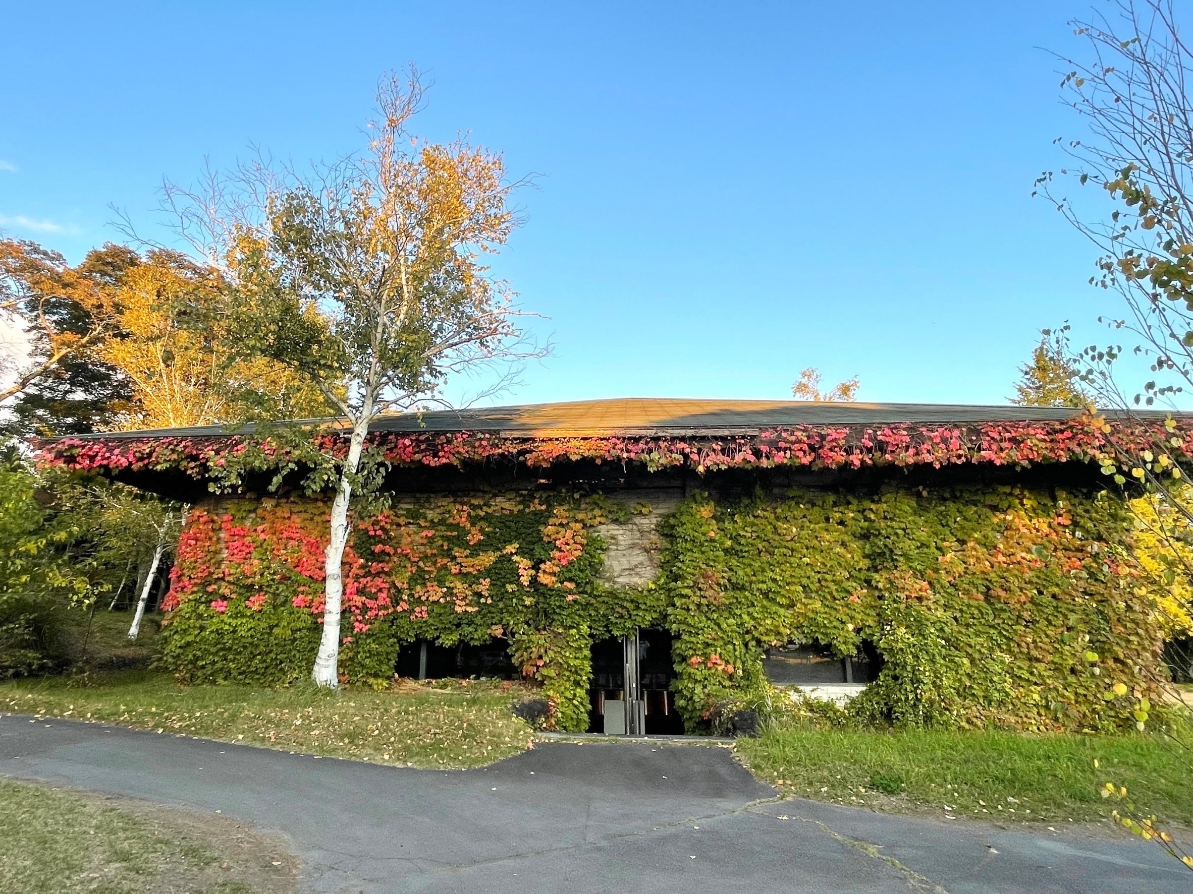 MMoP内ライフスタイルショップ「lagom」