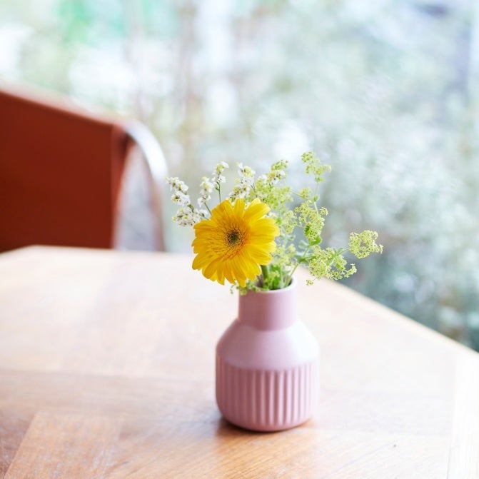 お花のイメージ