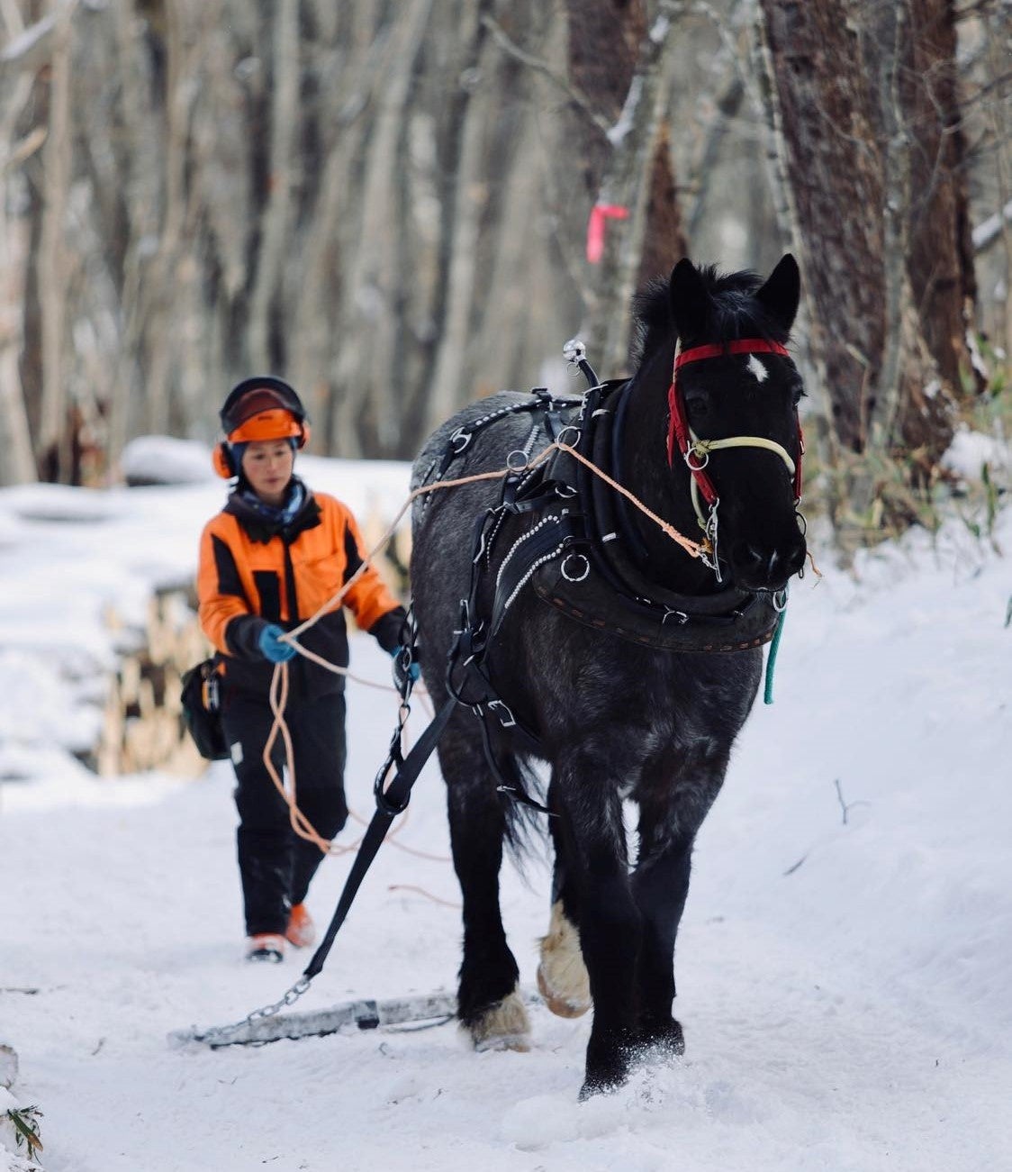 雪板7 パウダー1200 雪板7 パウダー1200 デッキテープ 送料込み 【公式通販】