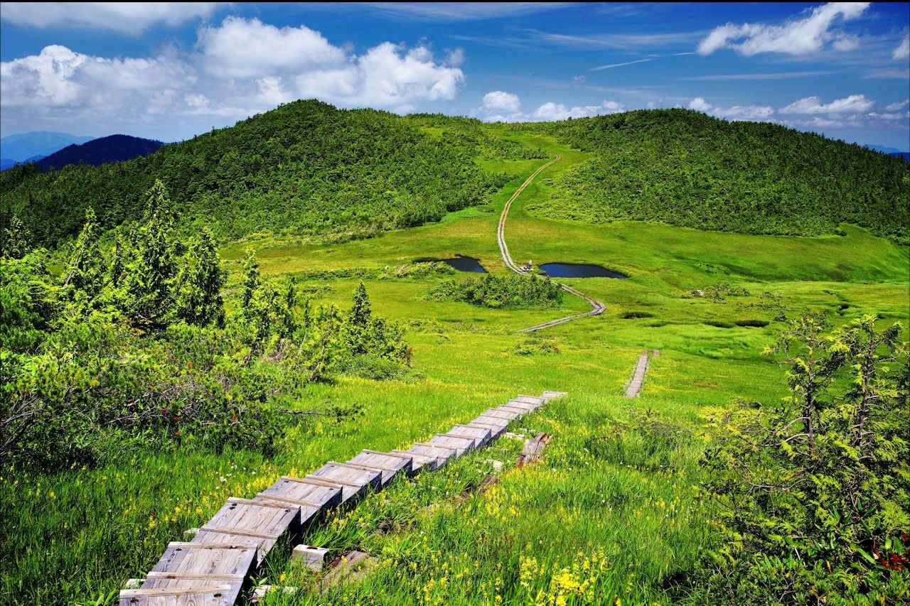 「天空に続く道」（撮影場所：熊沢田代） （ふくしま尾瀬フォトコンテスト2022受賞作品）