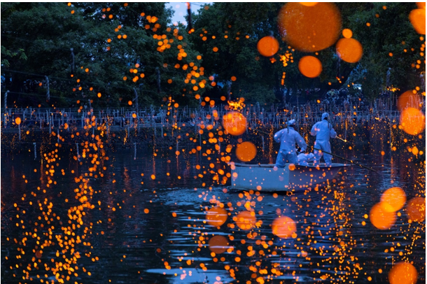 ©韓国観光公社