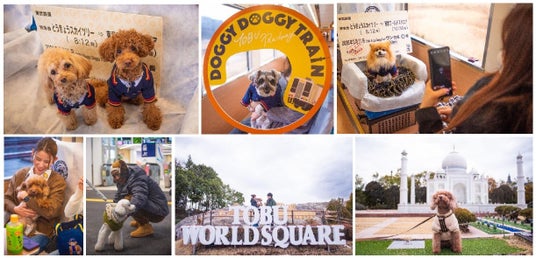 ケージレスで愛犬と旅行!「スカイツリートレイン」貸切ツアーを実施 ケージレスで愛犬と旅行!「スカイツリートレイン」貸切ツアーを実施