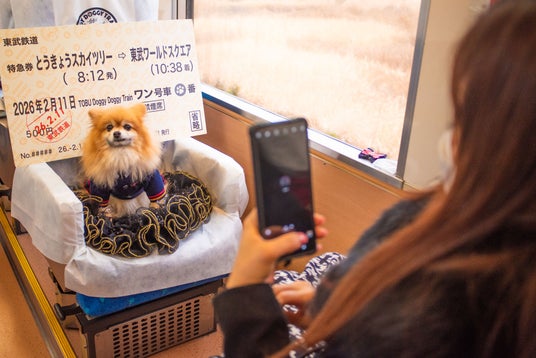 いつも一緒にいられる“ケージレス”な移動手段が拡大!愛犬と泊まる夏の日光・鬼怒川ツアーの発売を開始します いつも一緒にいられる“ケージレス”な移動手段が拡大!愛犬と泊まる夏の日光・鬼怒川ツアーの発売を開始します