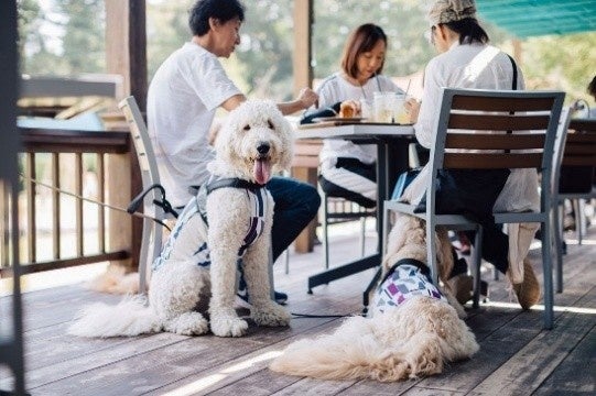 「銭湯の日」に銭湯文化を楽しく体験！ 昭和レトロな温泉銭湯 玉川温泉で「五右衛門風呂」「お風呂かるた大会」「銭湯マナー検定」などを開催