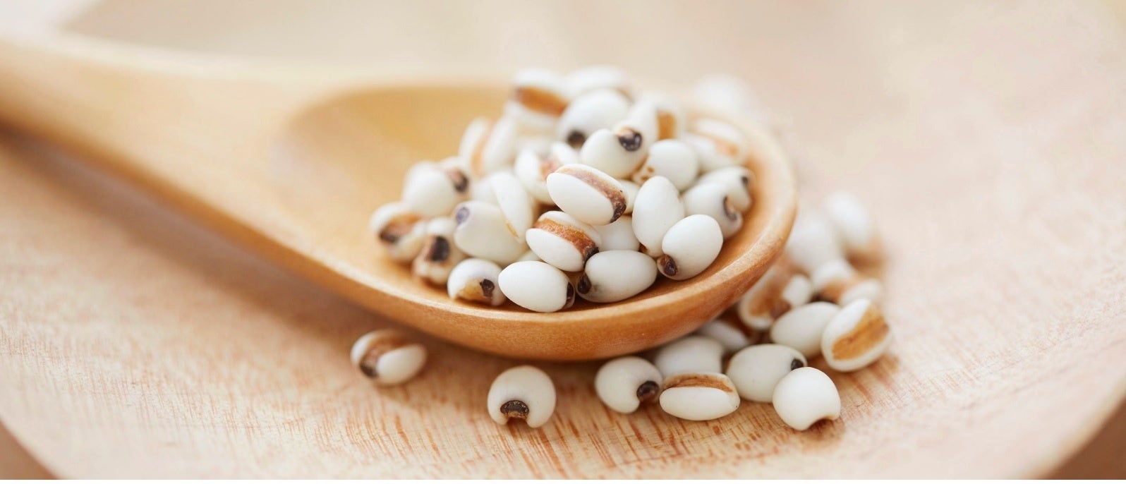 ハトムギ種子エキス