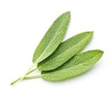 セージ葉エキス