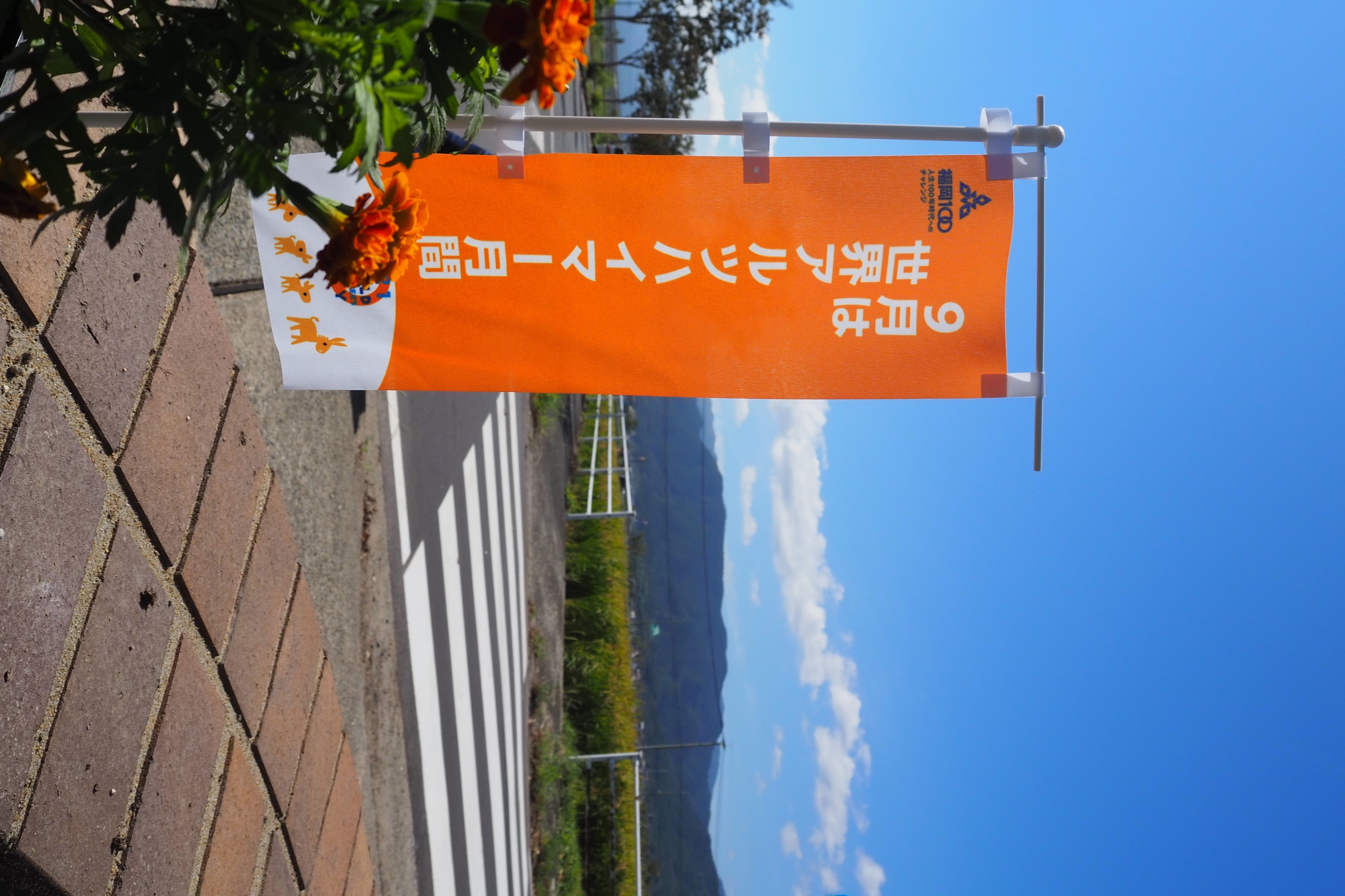 9月は世界アルツハイマー月間