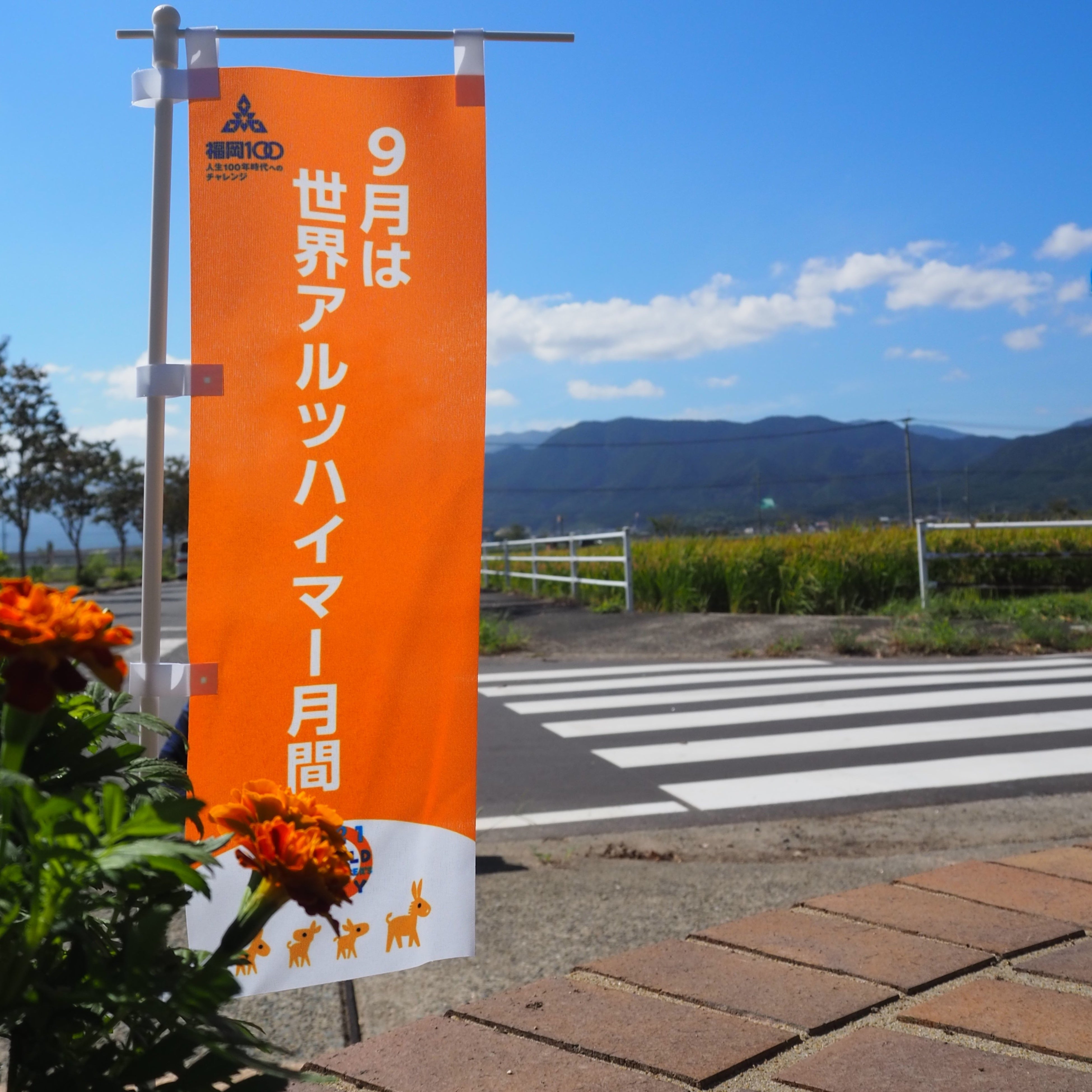 9月は世界アルツハイマー月間