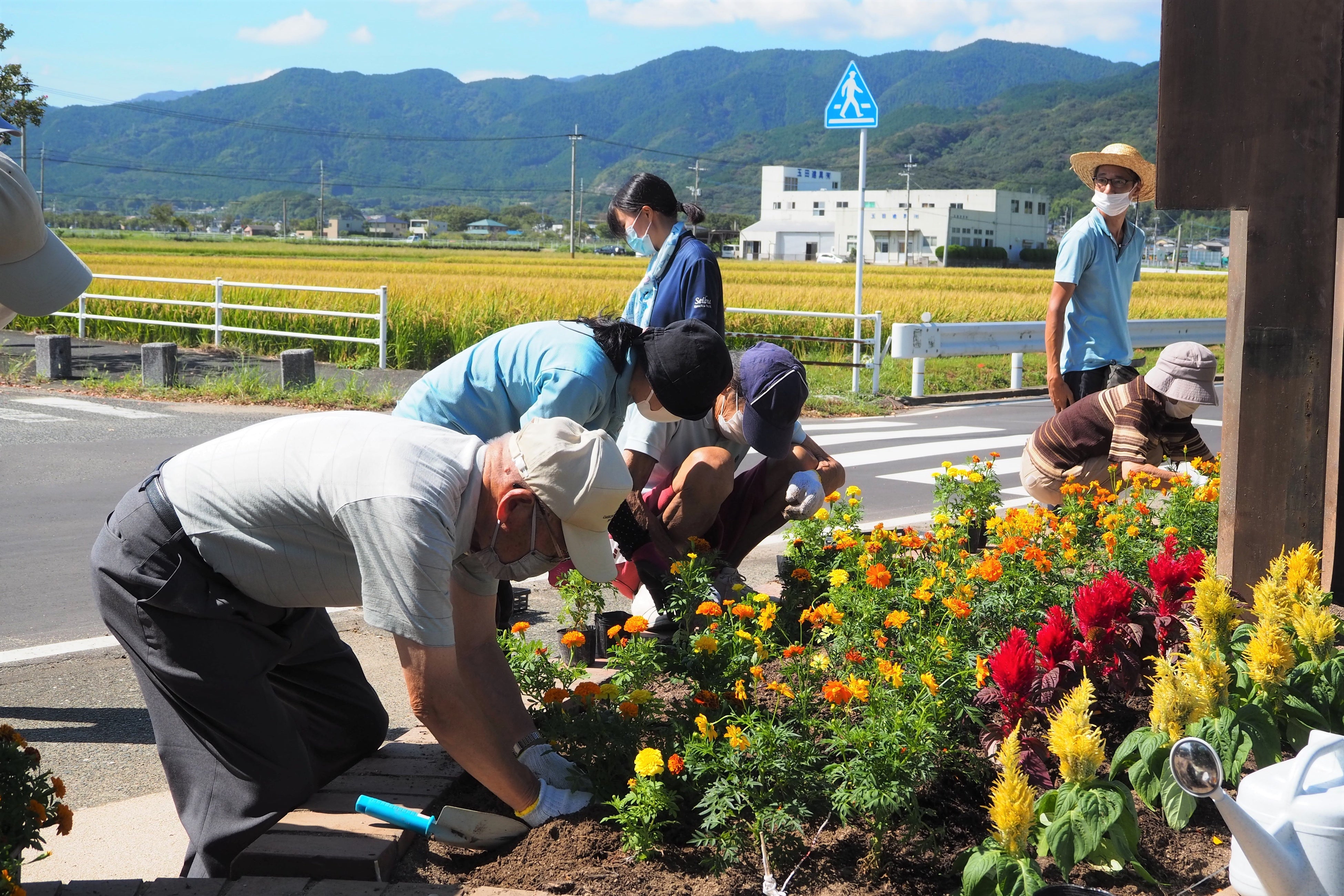 作業の様子／福岡市西部運動公園