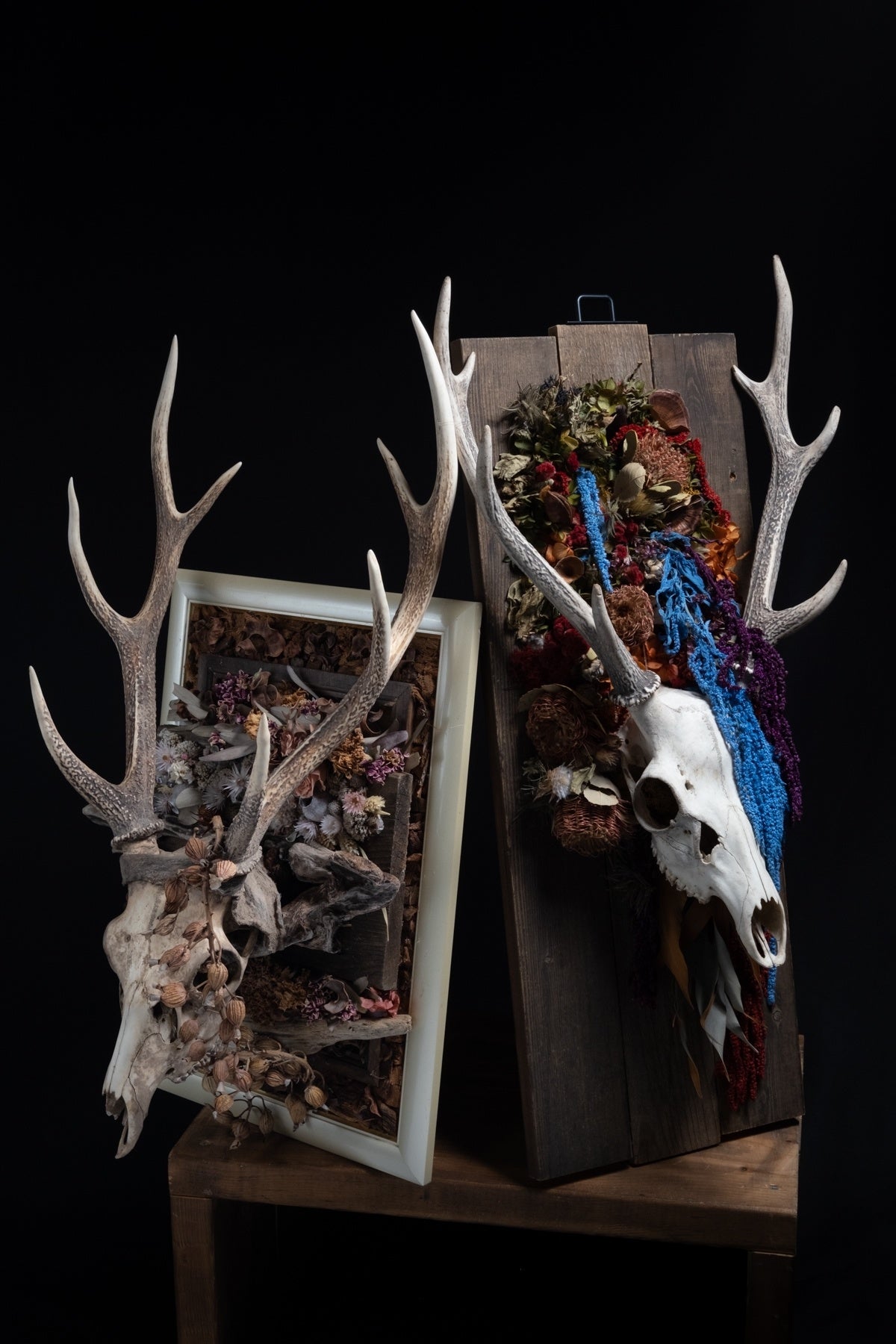 「久遠（くおん）」コロとロコ