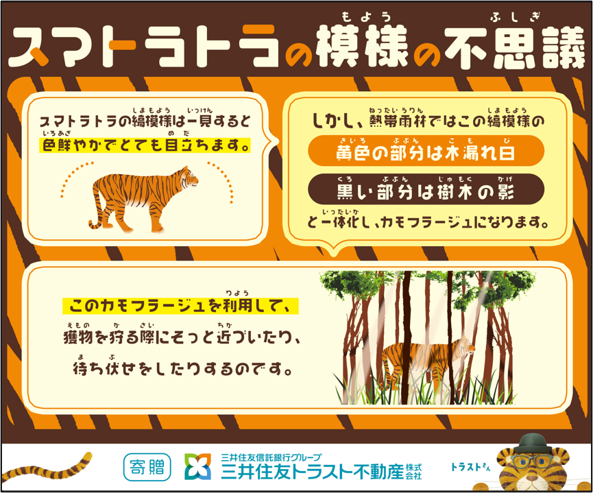 設置した生態の解説板