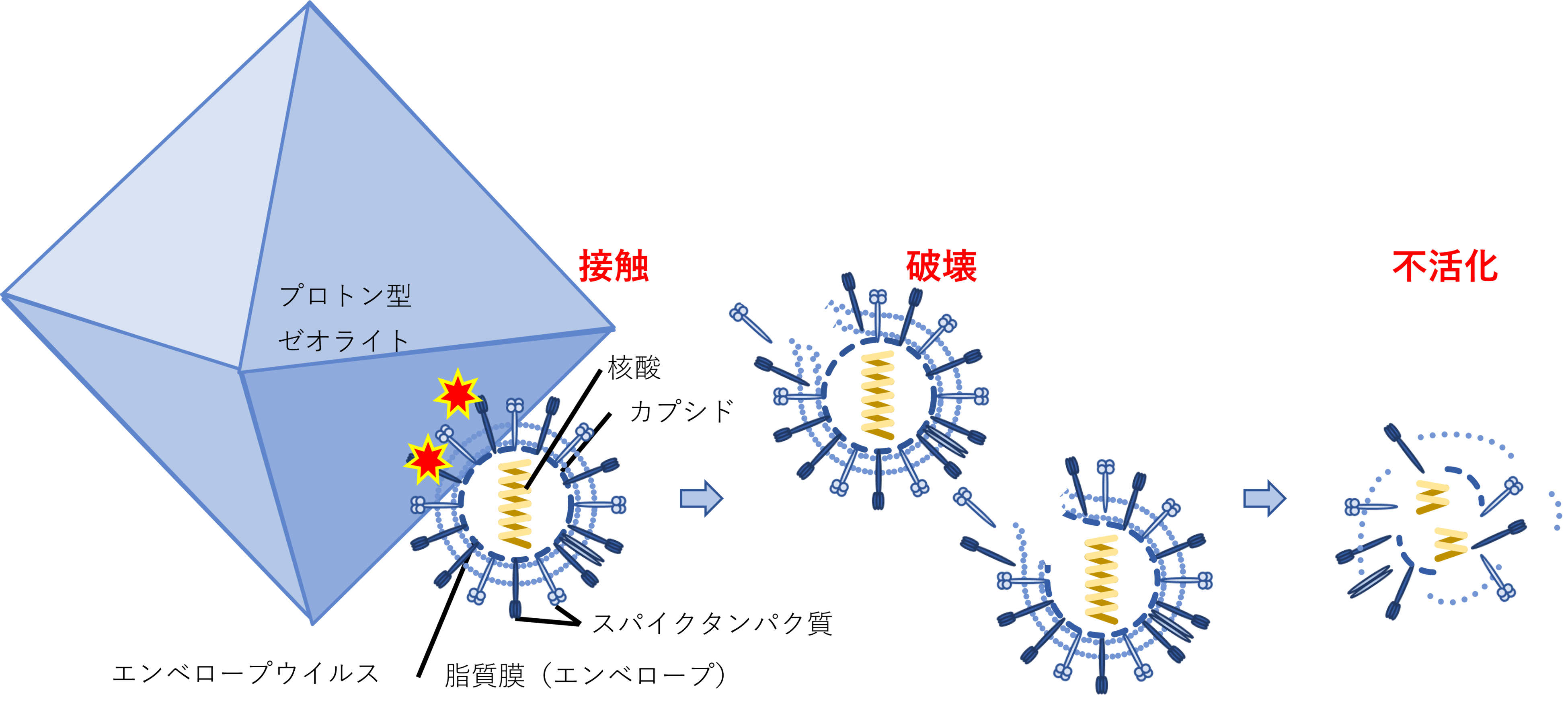 図1：ウイルス破壊のメカニズム