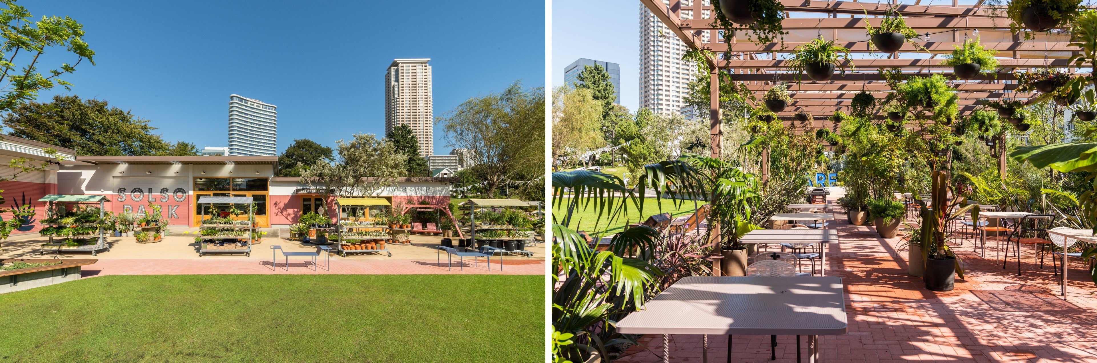 ▲SHARE GREEN MINANI AOYAMA  ランドスケープデザイン ／SOLSO