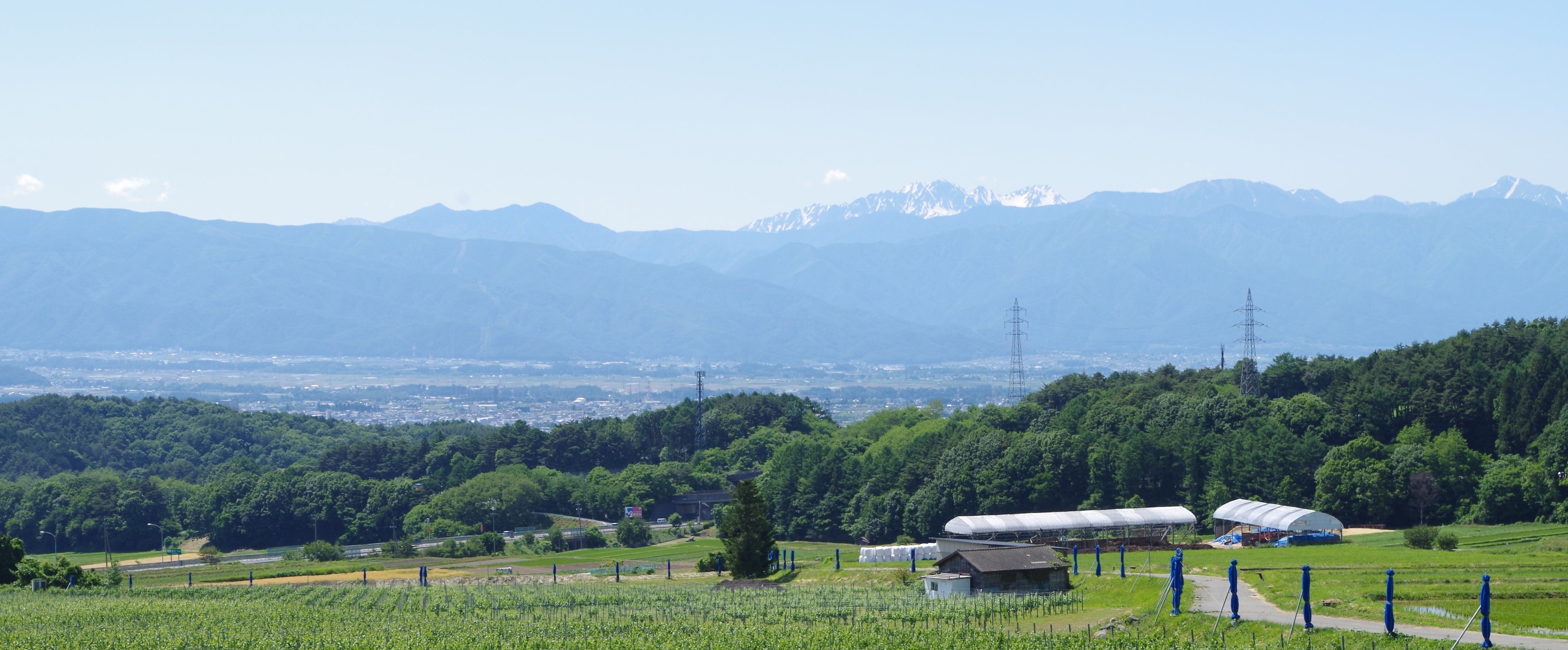 市内ワイナリーから望む市街地