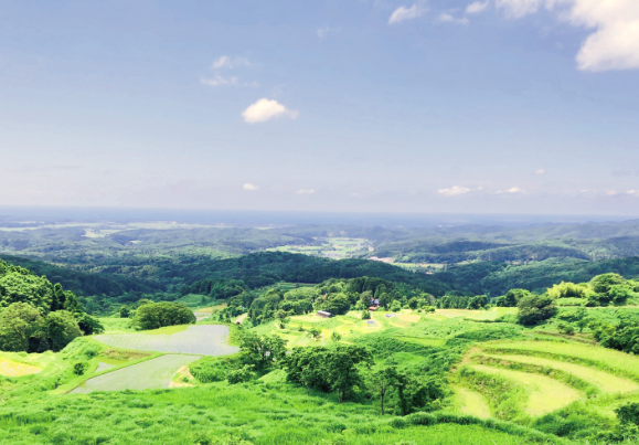 美しい景観を残す新潟県上越市旧柿崎町の棚田