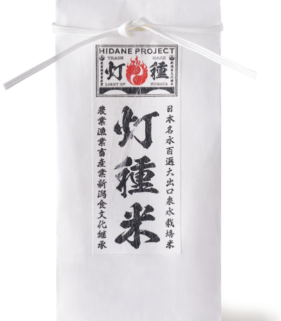 新潟県上越市旧柿崎町の棚田で育ったコシヒカリ「灯種米」