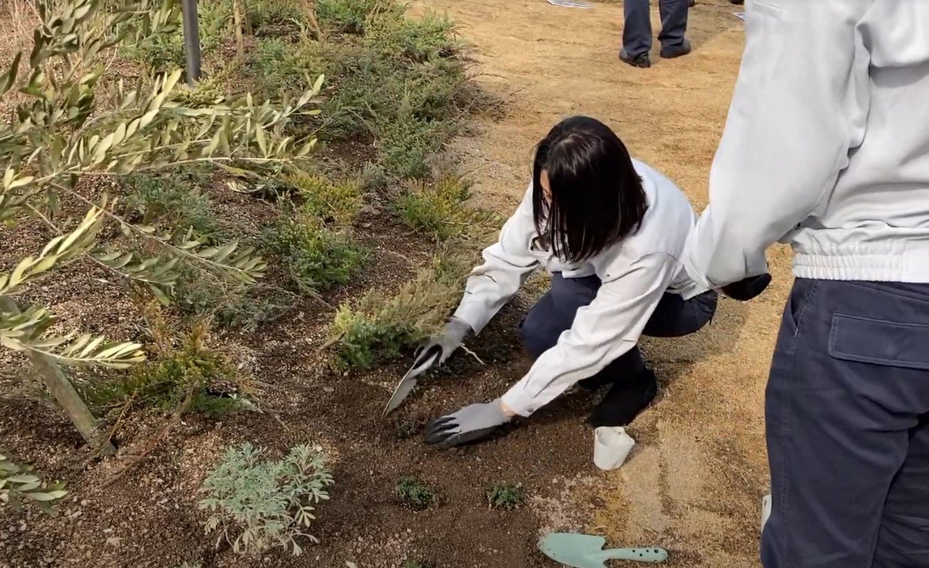3月9日の植樹祭の様子。一つひとつ丁寧に十全化学の社員が植えて完成させました