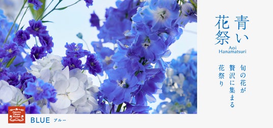 青山フラワーマーケットにて青の花を取り揃えた「青い花祭」を開催!梅雨に向けて初のオリジナル傘も。 青山フラワーマーケットにて青の花を取り揃えた「青い花祭」を開催!梅雨に向けて初のオリジナル傘も。